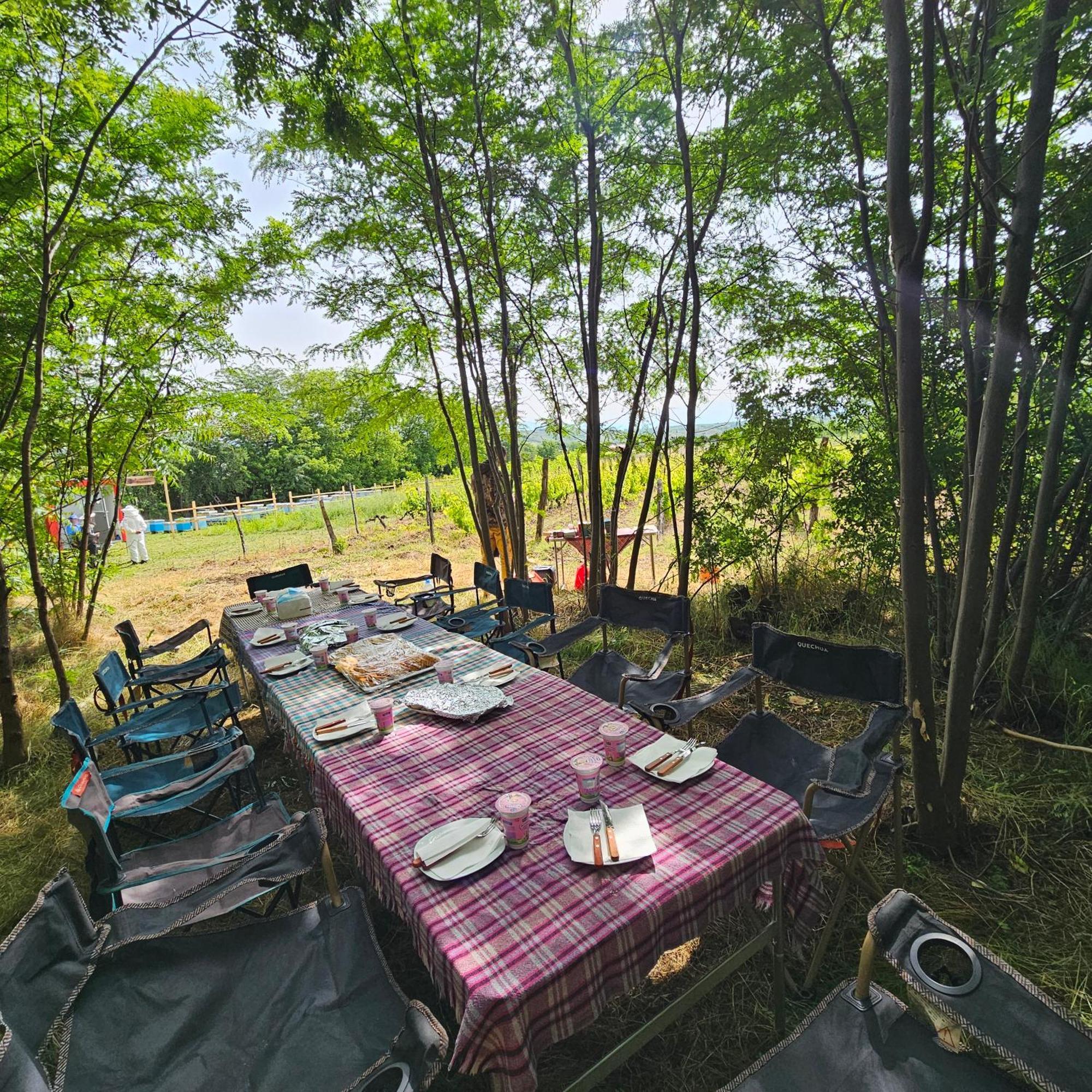 Arаbeska Family Winery & Apartments Kavadarci Esterno foto